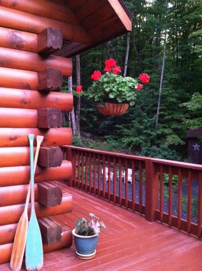 The Catskill Cabin Elka Park Bagian luar foto